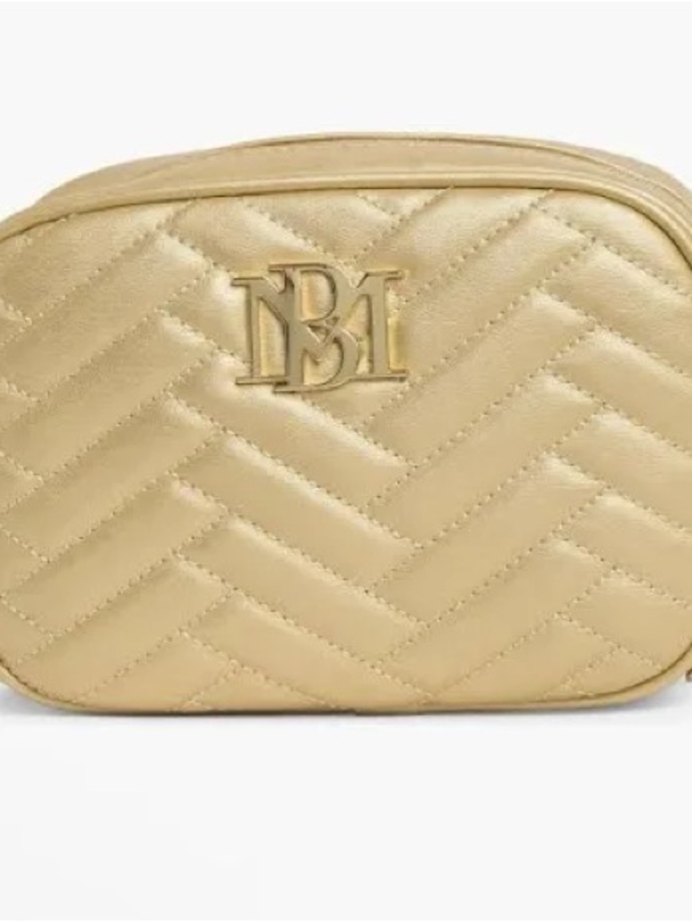 Badgley Mischka Quilted Chevron Crossbody Camera Bag in Metallic Gold